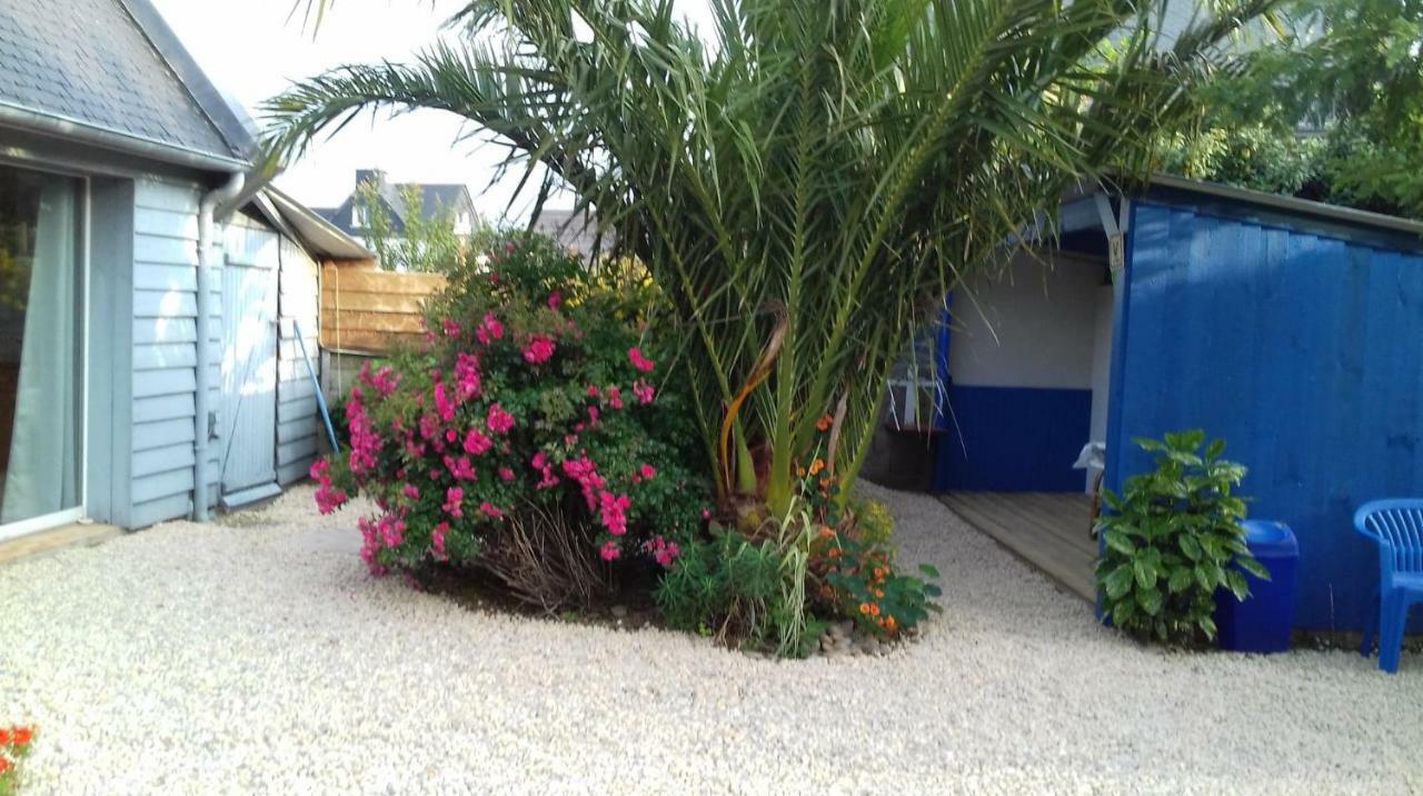 Le Petit Cottage Entre Village Et Mer Trelevern Экстерьер фото
