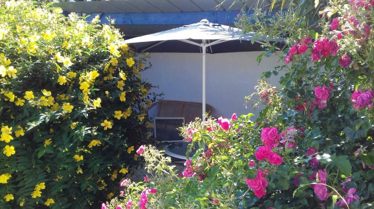 Le Petit Cottage Entre Village Et Mer Trelevern Экстерьер фото