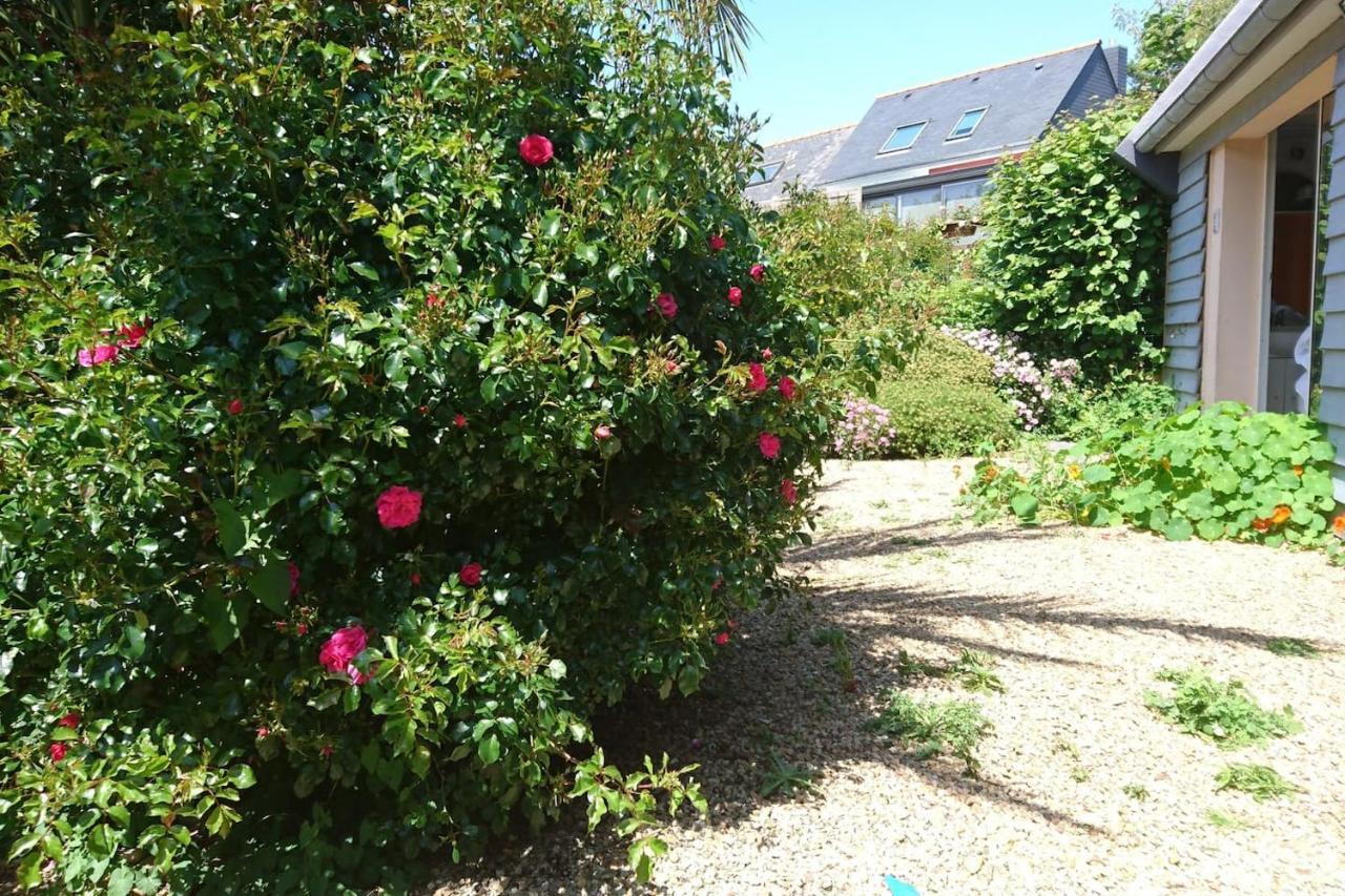 Le Petit Cottage Entre Village Et Mer Trelevern Экстерьер фото